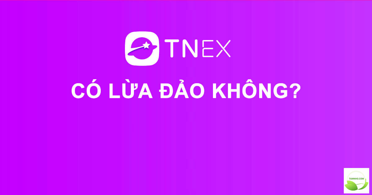 tnex-msb-co-lua-dao-khong