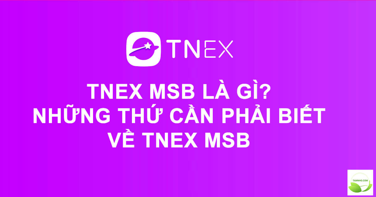 tnex-msb-la-gi