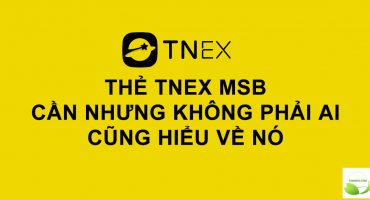 the-tnex-msb