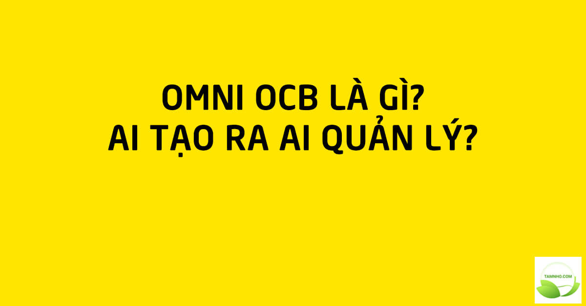 ocb-omni-ngan-hang-so-la-gi