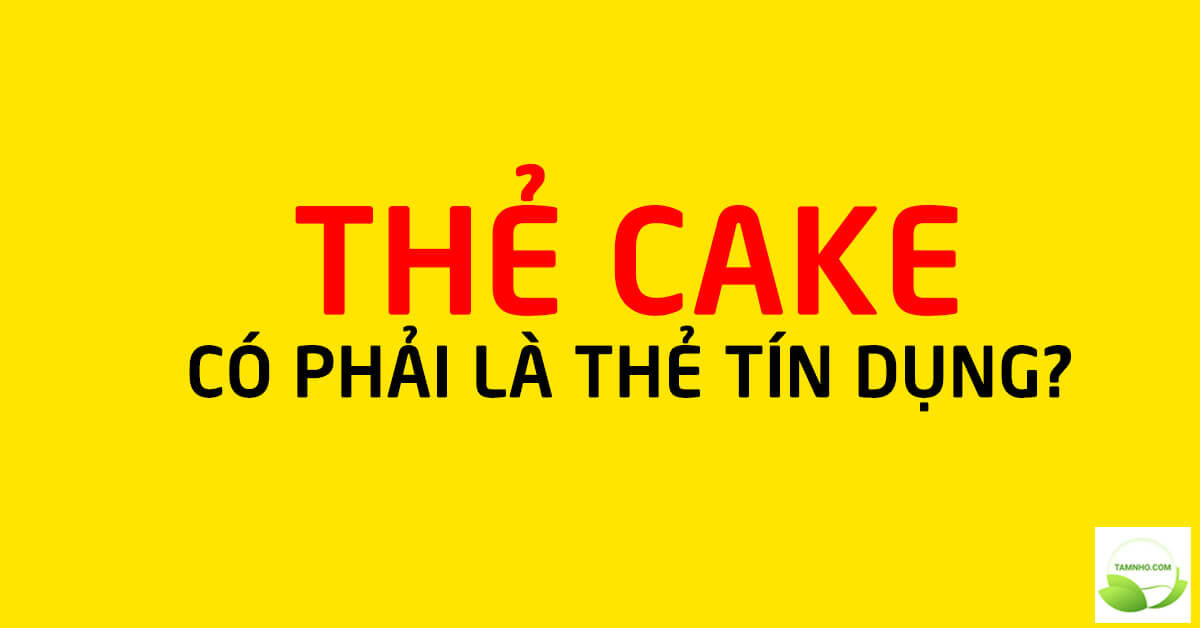 the-tin-dung-cake